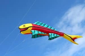 Fish Kite