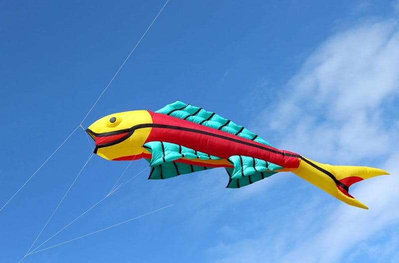 Fish Kite