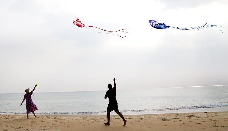 Butterfly Kite 8