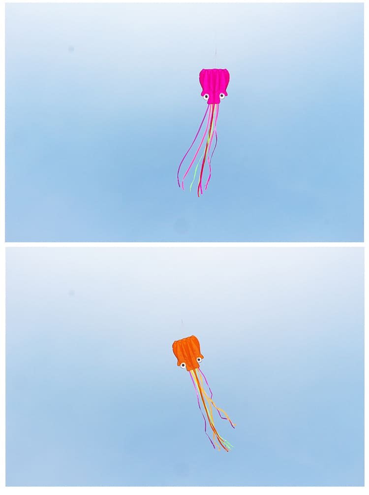 Flying Soft Kite