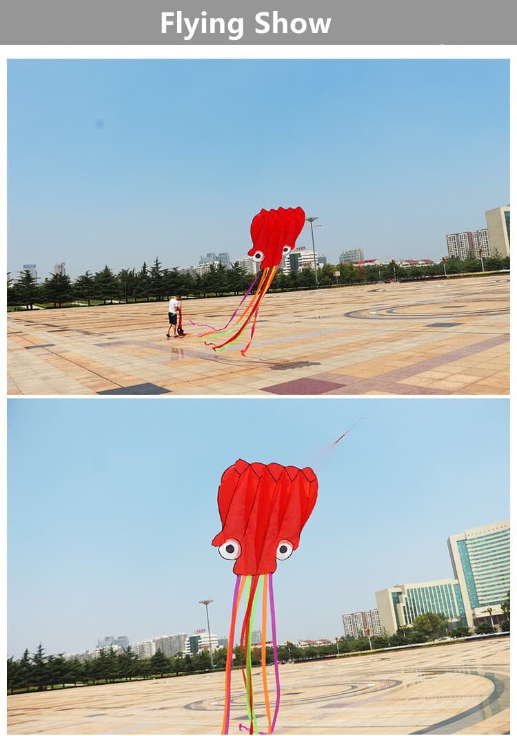 Soft Kite Flying Show