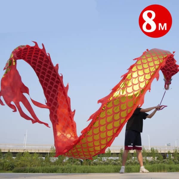 8m fitness dragon ribbon