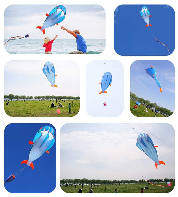 Flying Whale Kites