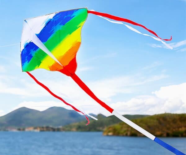 Rainbow Kite 2