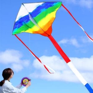 Rainbow Kite 4