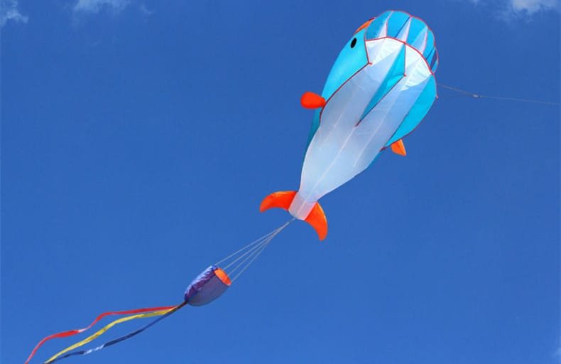 Whales Kite S